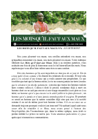 LMQFAM N°6.pdf